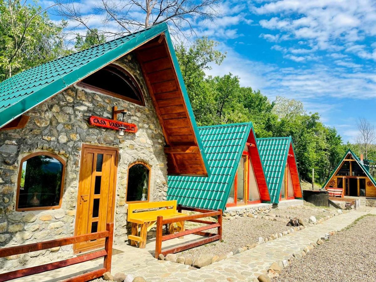 Catunu' Lui Emil Vila Carbunesti Exterior foto